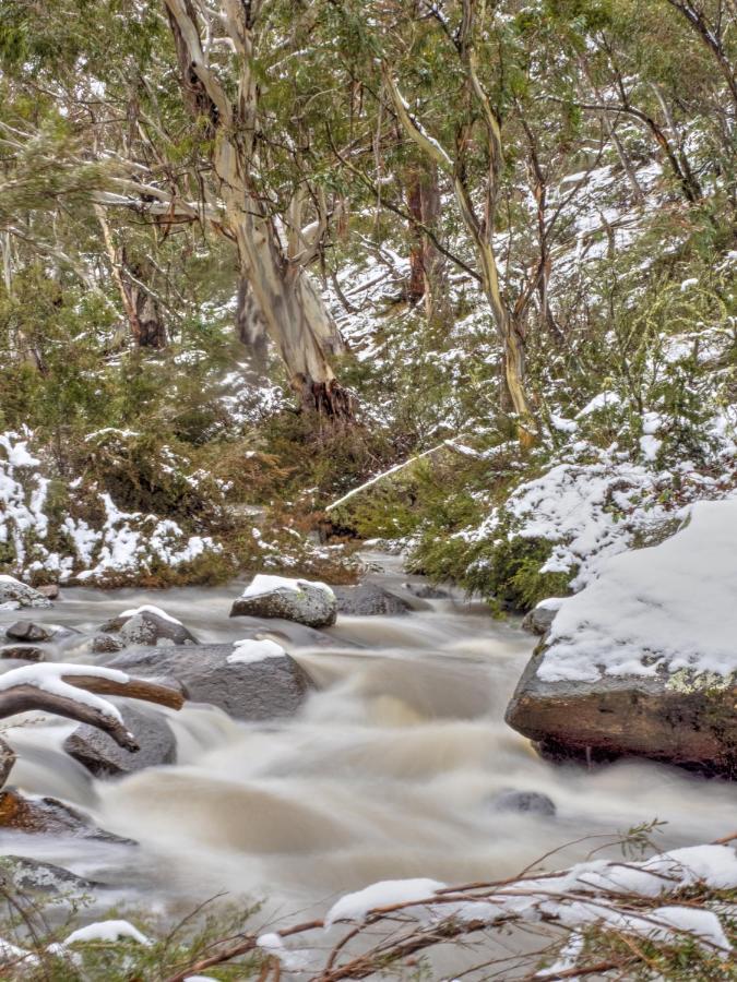 Big Yard Escapes - Two Off-Grid Tiny Houses On The Mowamba River Jindabyne Εξωτερικό φωτογραφία