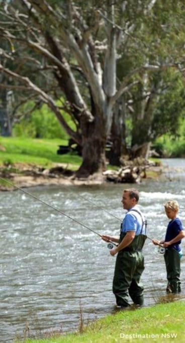 Big Yard Escapes - Two Off-Grid Tiny Houses On The Mowamba River Jindabyne Εξωτερικό φωτογραφία