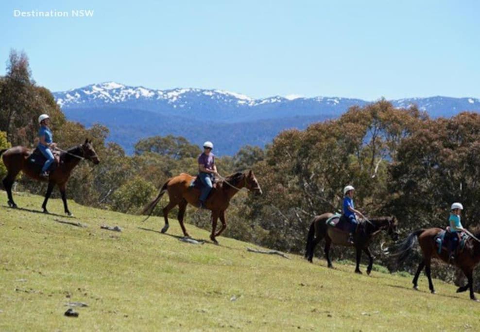 Big Yard Escapes - Two Off-Grid Tiny Houses On The Mowamba River Jindabyne Εξωτερικό φωτογραφία