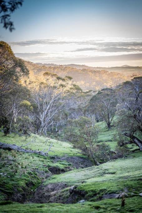 Big Yard Escapes - Two Off-Grid Tiny Houses On The Mowamba River Jindabyne Εξωτερικό φωτογραφία