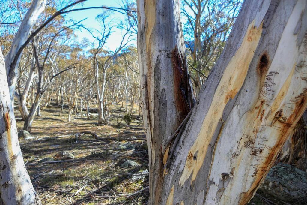 Big Yard Escapes - Two Off-Grid Tiny Houses On The Mowamba River Jindabyne Εξωτερικό φωτογραφία