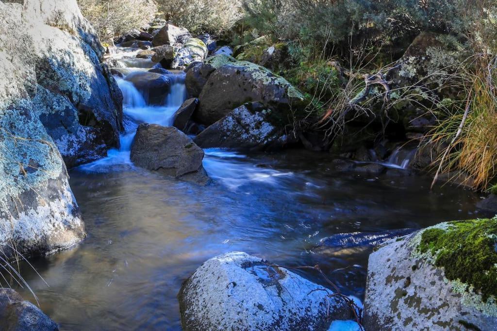 Big Yard Escapes - Two Off-Grid Tiny Houses On The Mowamba River Jindabyne Εξωτερικό φωτογραφία