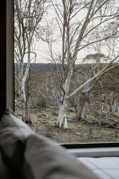 Big Yard Escapes - Two Off-Grid Tiny Houses On The Mowamba River Jindabyne Εξωτερικό φωτογραφία