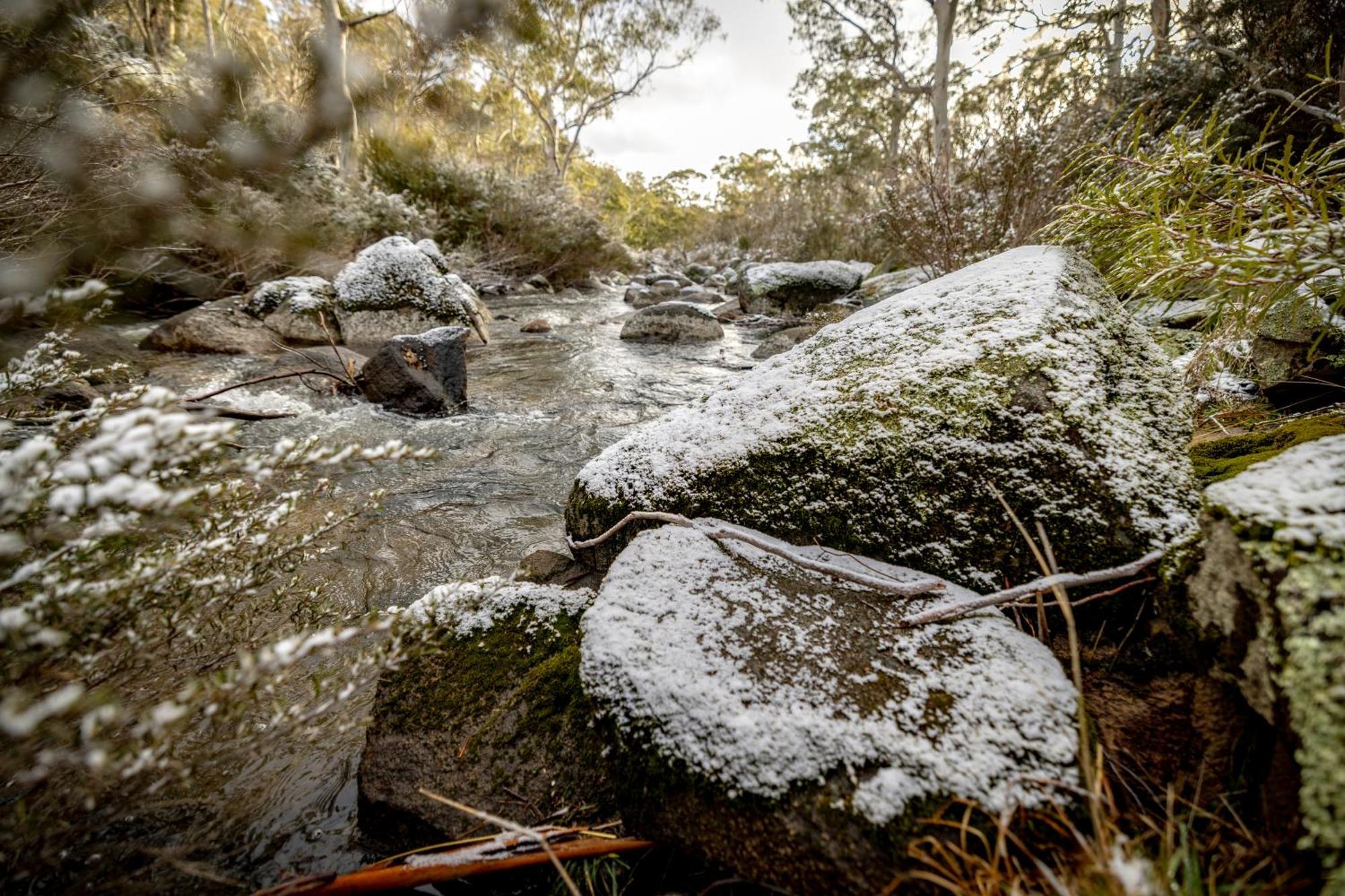 Big Yard Escapes - Two Off-Grid Tiny Houses On The Mowamba River Jindabyne Εξωτερικό φωτογραφία